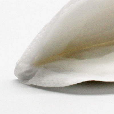 Переполняет Breathable уход SGS ECO CE прокладывает не сплетенную ткань